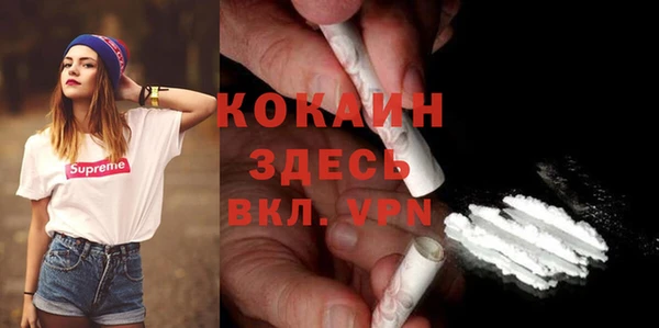 дживик Арсеньев