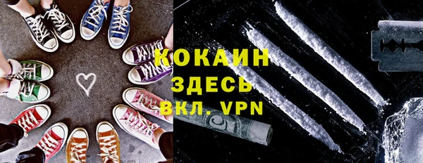 дживик Арсеньев