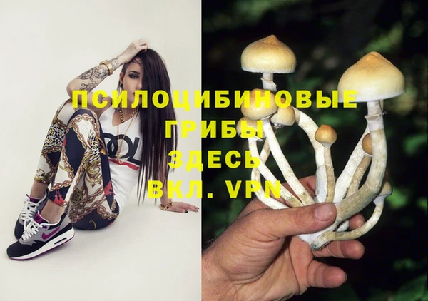 гидропоника Алексеевка